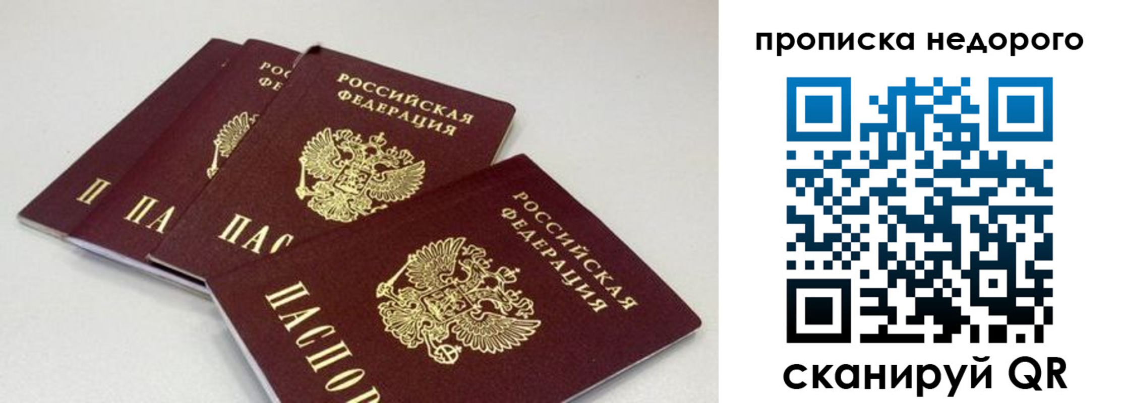 прописка штамп в Пересвете