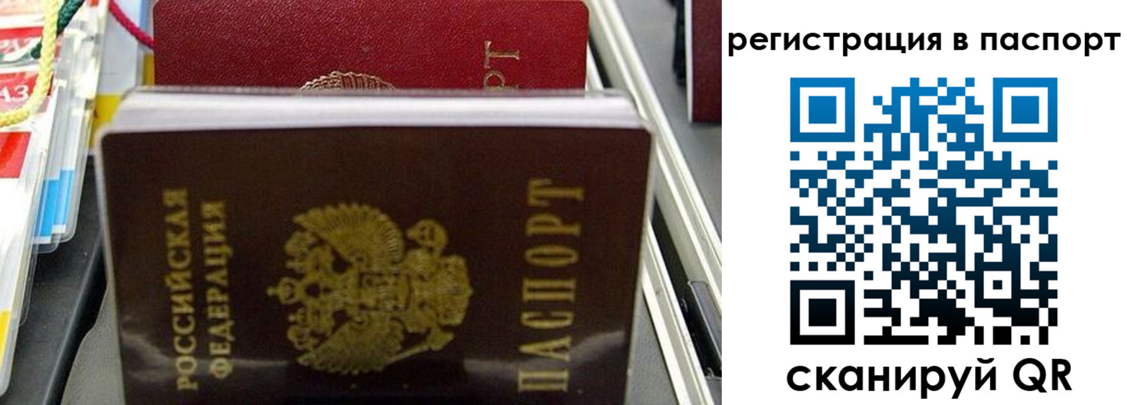 прописка для школы в Пересвете